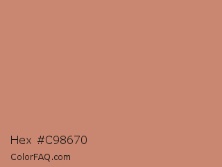 Hex #c98670 Color Image