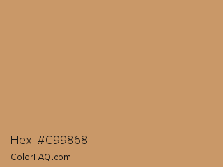 Hex #c99868 Color Image