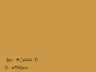 Hex #c99945 Color Image