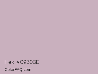 Hex #c9b0be Color Image