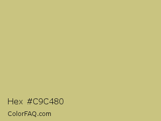 Hex #c9c480 Color Image