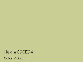 Hex #c9ce94 Color Image