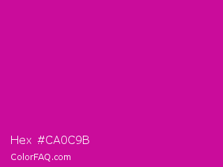 Hex #ca0c9b Color Image