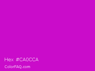 Hex #ca0cca Color Image