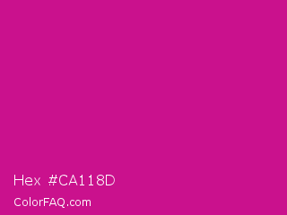 Hex #ca118d Color Image