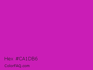 Hex #ca1db6 Color Image