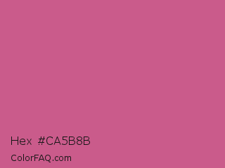 Hex #ca5b8b Color Image