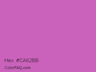 Hex #ca62bb Color Image