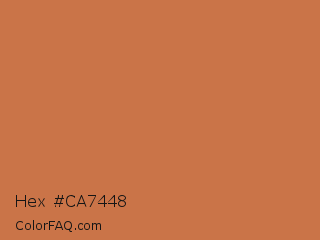 Hex #ca7448 Color Image