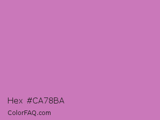 Hex #ca78ba Color Image