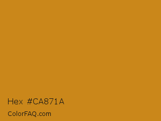 Hex #ca871a Color Image