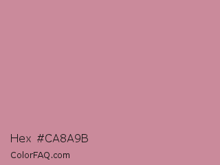 Hex #ca8a9b Color Image