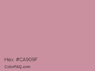 Hex #ca909f Color Image