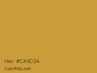 Hex #ca9d3a Color Image