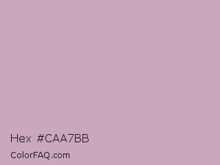 Hex #caa7bb Color Image