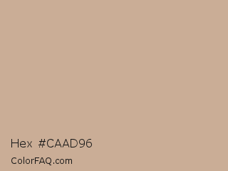 Hex #caad96 Color Image