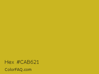 Hex #cab621 Color Image
