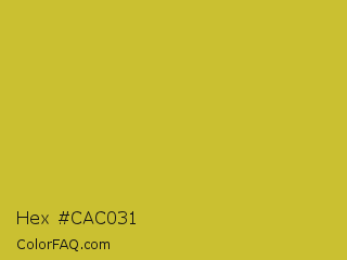 Hex #cac031 Color Image