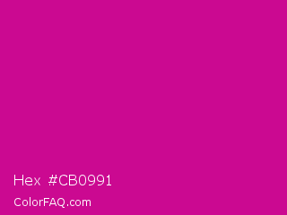 Hex #cb0991 Color Image