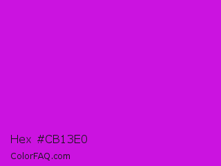 Hex #cb13e0 Color Image