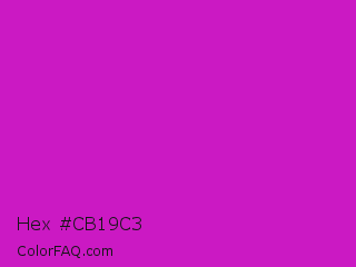 Hex #cb19c3 Color Image