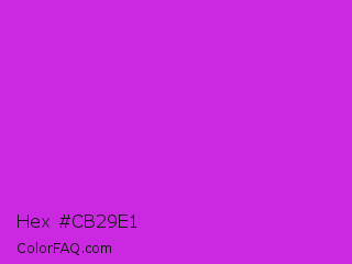 Hex #cb29e1 Color Image