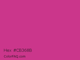 Hex #cb368b Color Image