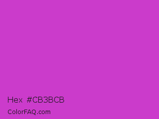 Hex #cb3bcb Color Image