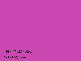 Hex #cb48b3 Color Image