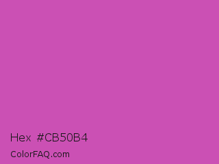 Hex #cb50b4 Color Image