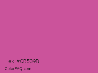 Hex #cb539b Color Image