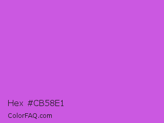 Hex #cb58e1 Color Image