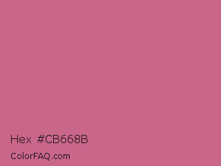 Hex #cb668b Color Image