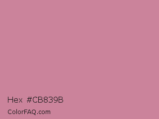 Hex #cb839b Color Image