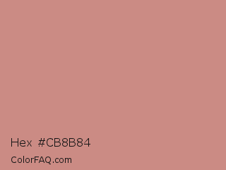 Hex #cb8b84 Color Image