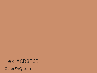 Hex #cb8e6b Color Image