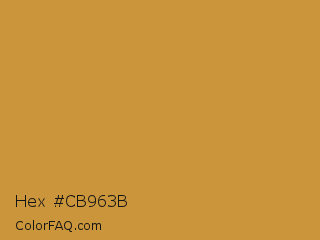Hex #cb963b Color Image