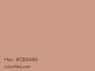 Hex #cb9a86 Color Image