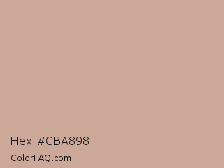 Hex #cba898 Color Image