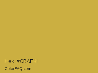 Hex #cbaf41 Color Image