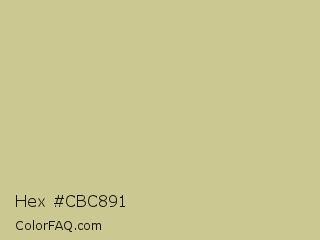 Hex #cbc891 Color Image