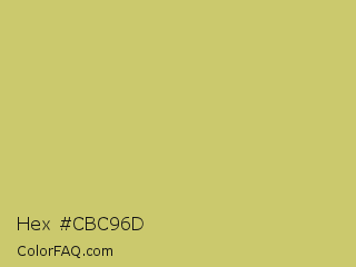 Hex #cbc96d Color Image