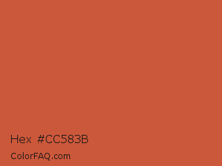 Hex #cc583b Color Image