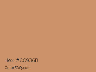Hex #cc936b Color Image