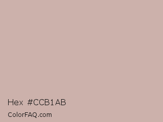 Hex #ccb1ab Color Image