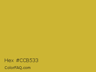 Hex #ccb533 Color Image