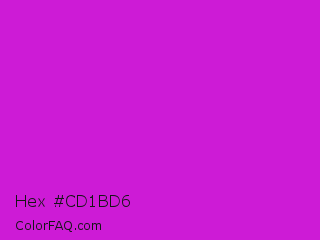 Hex #cd1bd6 Color Image
