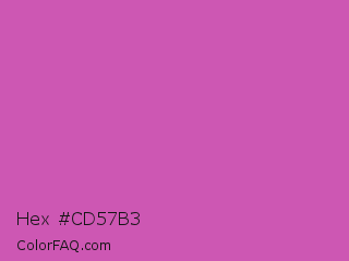 Hex #cd57b3 Color Image