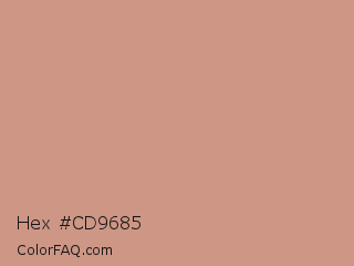Hex #cd9685 Color Image