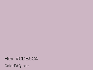 Hex #cdb6c4 Color Image